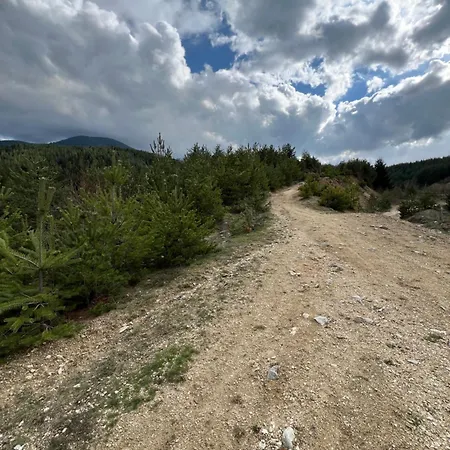 2-room Forest Retreat - Fireplace, Veranda, Bbq, Views * Bansko