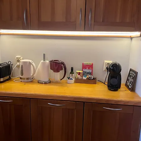 Apartman 2-room Forest Retreat - Fireplace, Veranda, Bbq, Views Banszko