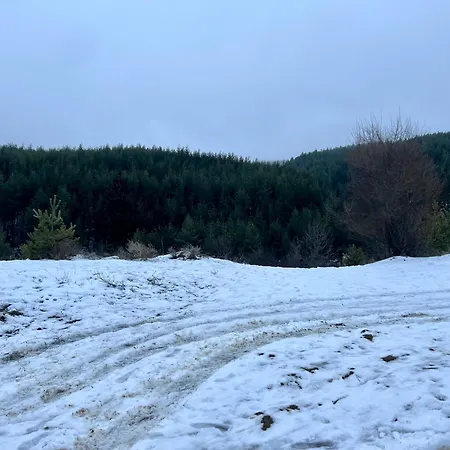 2-room Forest Retreat - Fireplace, Veranda, Bbq, Views Appartement *