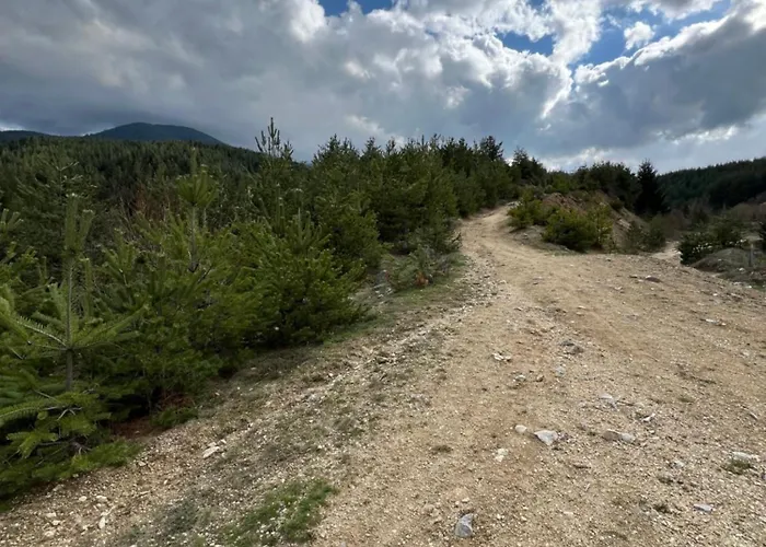 2-room Forest Retreat - Fireplace, Veranda, Bbq, Views * 班斯科