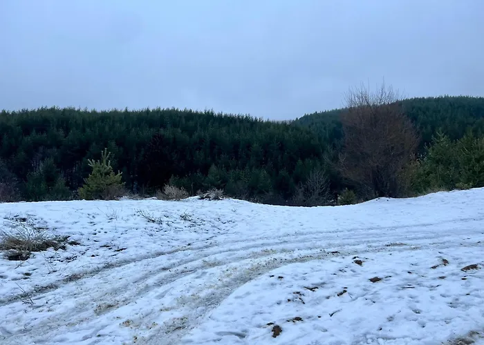 2-room Forest Retreat - Fireplace, Veranda, Bbq, Views 公寓 *